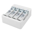 Basic IV + 4× AA 1300mAh