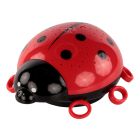 Starlight Ladybird
